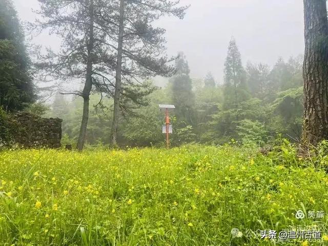 浙江隐藏一座“小黄山”，风光绝美还没门票，秋日徒步好去处！