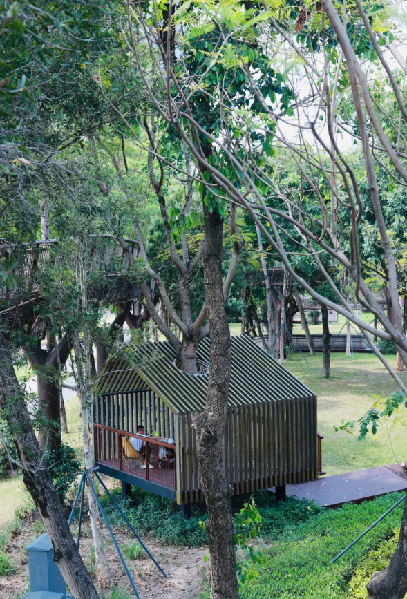 深圳又一生态长廊爆红，被称为现实版“魔法森林”，适合徒步遛娃