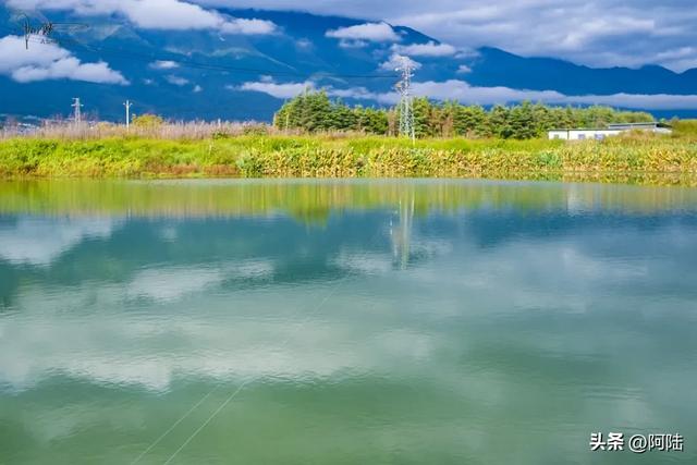 洱海边惊现四川人发明的绝招-过河钓，老哥自称已经玩了20多年