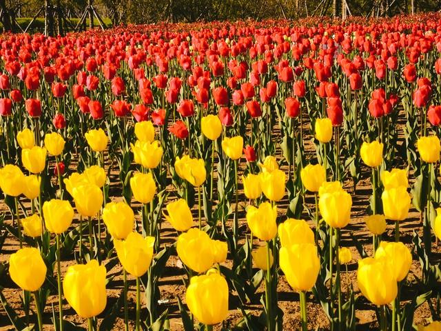 94年暴雨夜，我在山神庙躲雨，一个浑身湿透的女人也跑了进来
