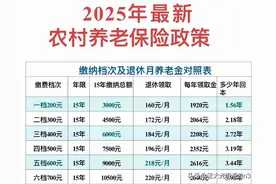 2025农村养老保险好消息！缴费档次有变化，老年生活更安心图片