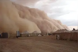 为何外蒙古不治沙？美国专家认为：植树治沙弊大于利，是真是假？图片