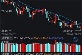 黎明前的黑暗(开了个小店2024.1.1-2024.8.23)图片