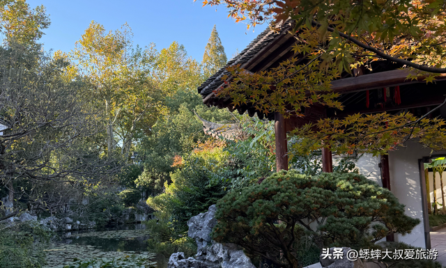藏于西湖的“隐世秘境”，秋日美如画，空闲了，来欣赏中式雅调吧