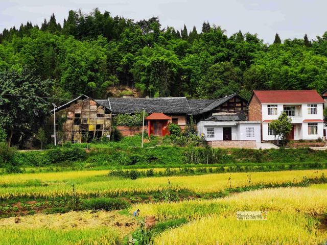 [四川 自贡市富顺县兜山镇]