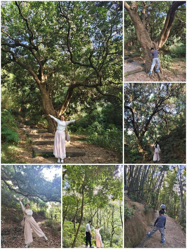 周末去哪儿（53）——乐游黄埔黄麻村，登山看景，享受徒步之乐