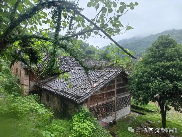 温州这个免门票的小众隐世宝地你可去过？