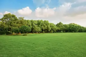 近年纪委面试真题集锦图片