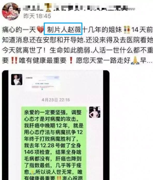 不忍了！王岳伦回应王诗龄休学，李湘参与缅北诈骗传闻真相大白
