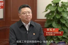 中央巡视办副主任罗礼平，已任黑龙江省纪委副书记图片