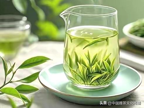 嘉州茶聚，韵逸时光
