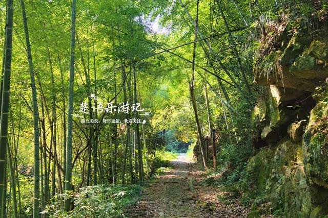 宁波鄞州最美的粉黛花海来了，被誉为初秋限定的粉色浪漫，非常赞