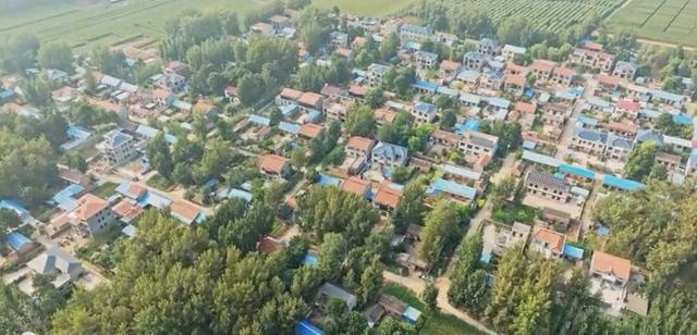 魅力曹县楼庄镇