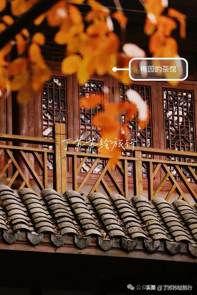 福州马拉松都下班了,爬鼓山还火到排队‼️福州鼓山登山路线攻略