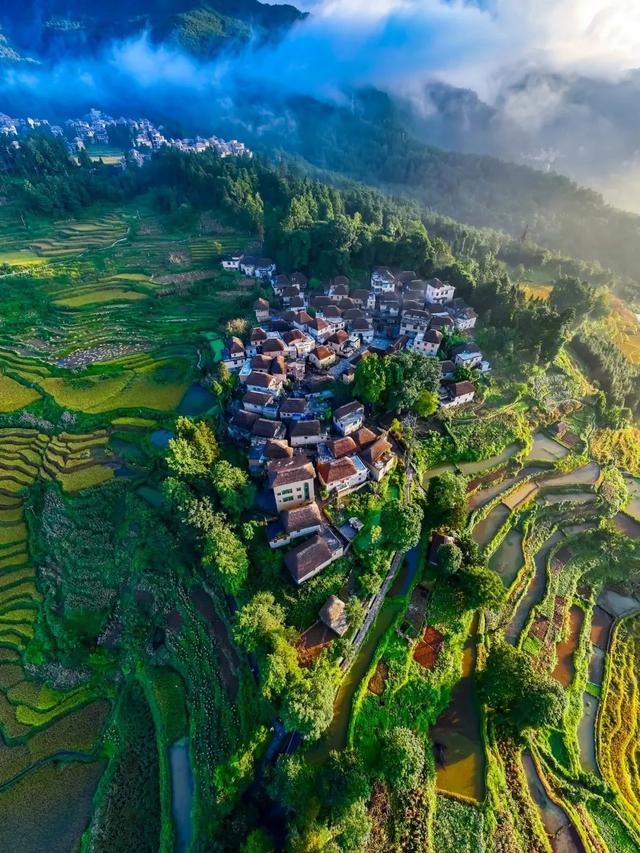 周年限定！快来阿者科当一天“哈尼公主”