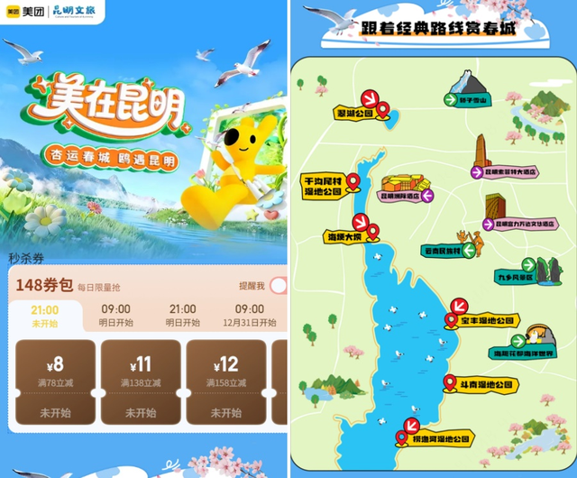 “鸥”经济爆发！昆明元旦酒店订单猛增118%，全靠这群小可爱