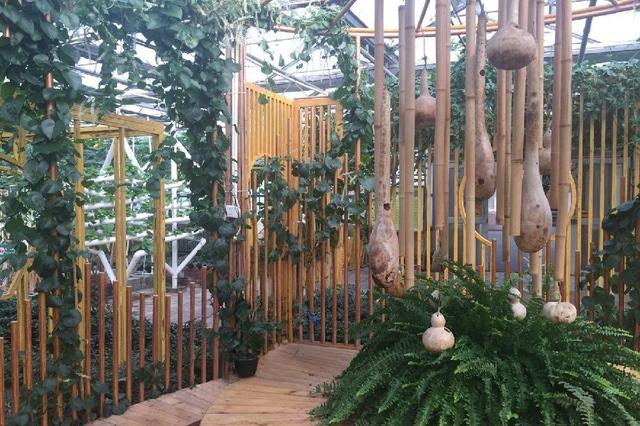 北京世界花卉大观园 四季繁花的梦幻天地