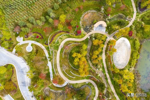 丽江市区的最美秋景在中济海，让我意外的是游客很少，什么原因？