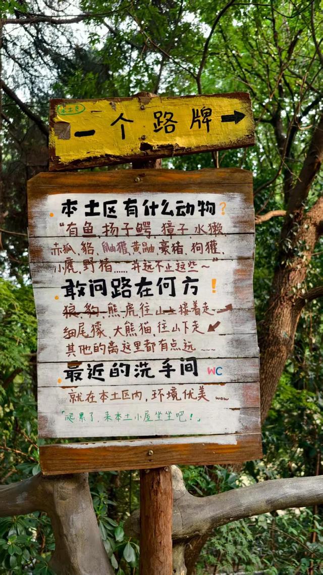 从坦桑到南京，三位女性与一座动物园的保育使命