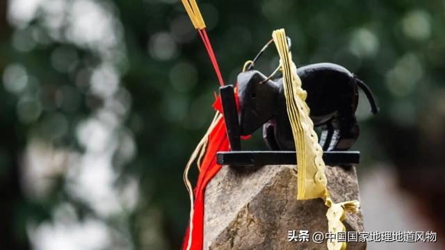 桃源深处、武陵主峰，梵净山何以跻身世界遗产？