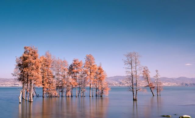 心理学发现：越孝顺的子女，父母反而越偏心？原因很现实。