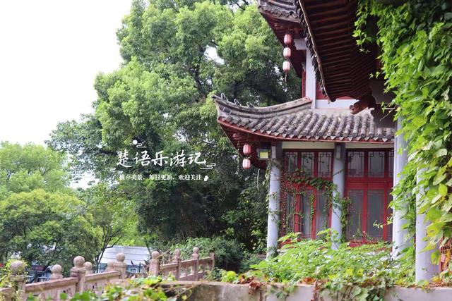 宁波东钱湖畔的清秀小山，丛林秘境中藏着徒步胜地，周边风景更美