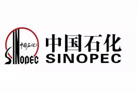 中石化、中海油等石油央企高层领导薪酬正式对外公布，大跌眼镜！图片