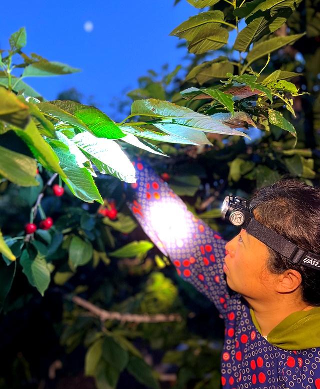 40岁中年女性慢跑半年实录：体重没变，但身体发生了惊人变化！