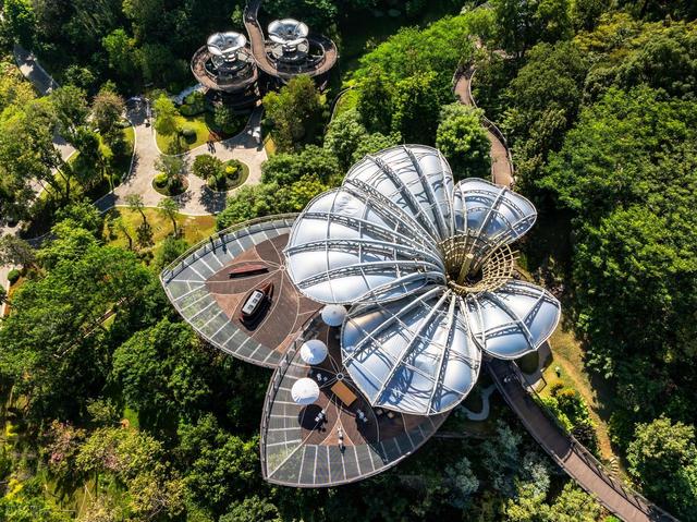 新“羊城八景”组团出道