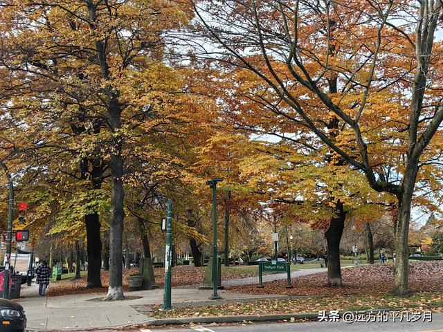 温哥华游记（一）