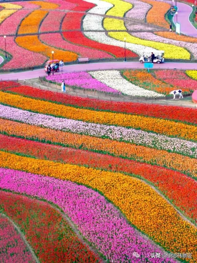 10月第5期(5天)点评