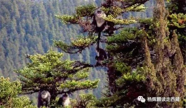 昌都，旅游资源丰富，一个魂牵梦萦的地方