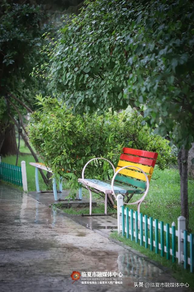秋雨落,诗意起…邂逅临夏秋雨的美