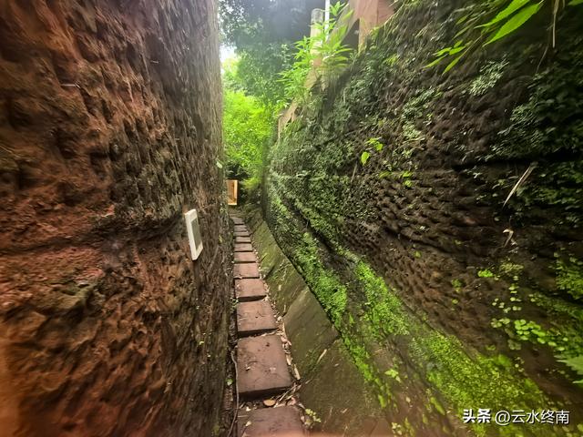 千里岷江第一镇，怎么这么冷寂？沉银宝藏、崖墓摇钱树，都白瞎了