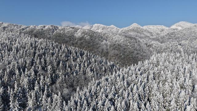 湖北恩施：雪后初霁 鄂西林海换银装