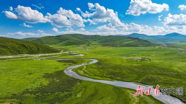 18℃的清凉秘境——碌曲县郭莽湿地夏日生态掠影