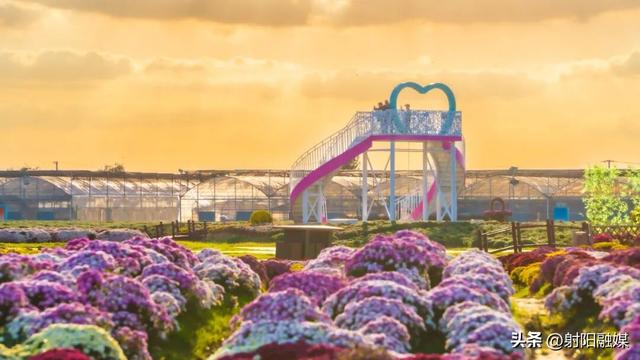 看完这朵看那朵🤩