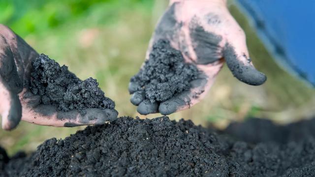 中国科学家发现生物炭电子转移机制，水处理技术迎来革命性突破