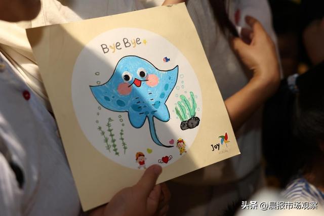 鳐鱼湾温暖相聚 共赴星空之约，上海长风海洋世界“鳐鱼星空”沪上独家体验即将闪耀启幕