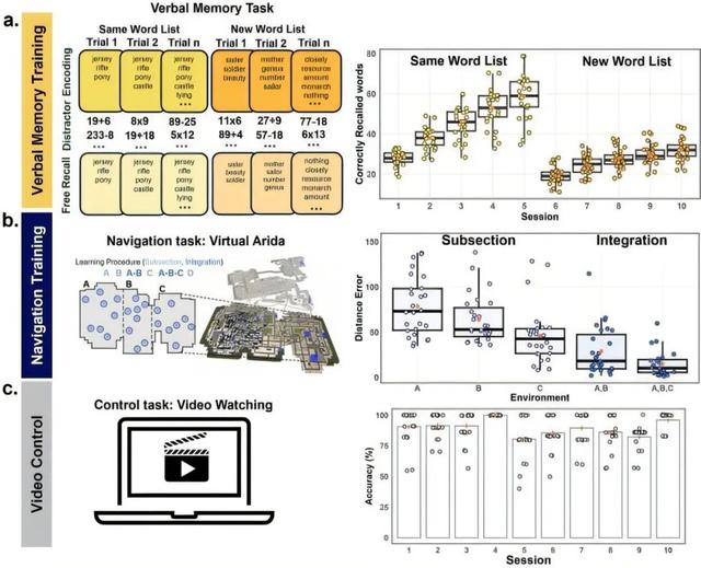 追问daily|认知训练能让大脑变大吗？AI越智能越自私？