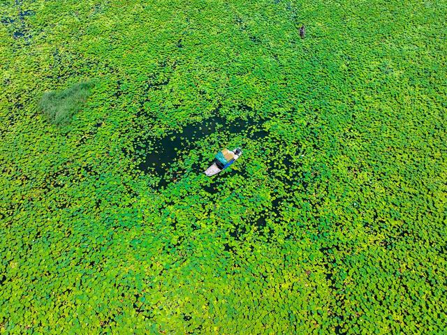 山东独有的十大景观有哪些？天下第一山，中国好望角等，值得打卡