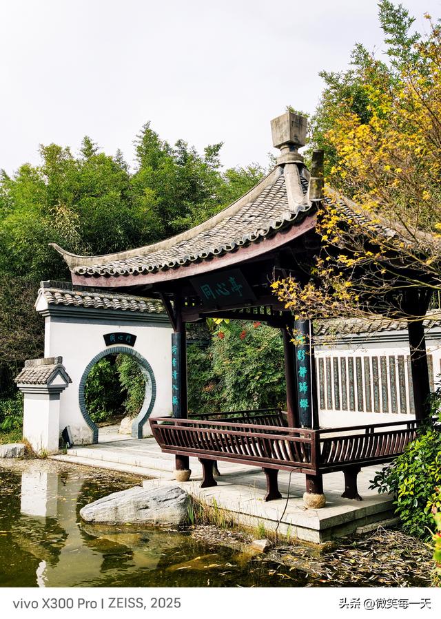 晨雾裹着秋香闯了金山寺，我在亭台里捡到一整个江南