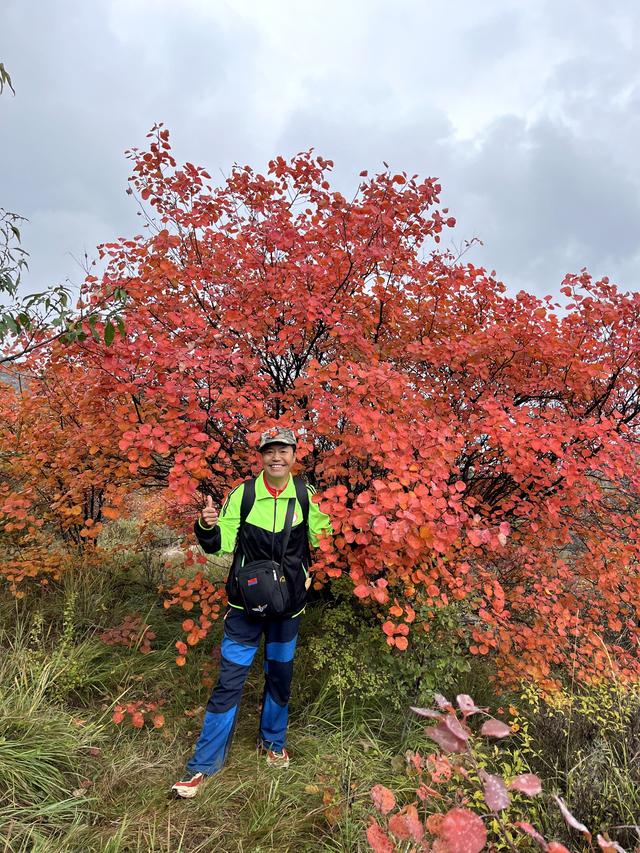 雾锁风挡山，红叶引客来