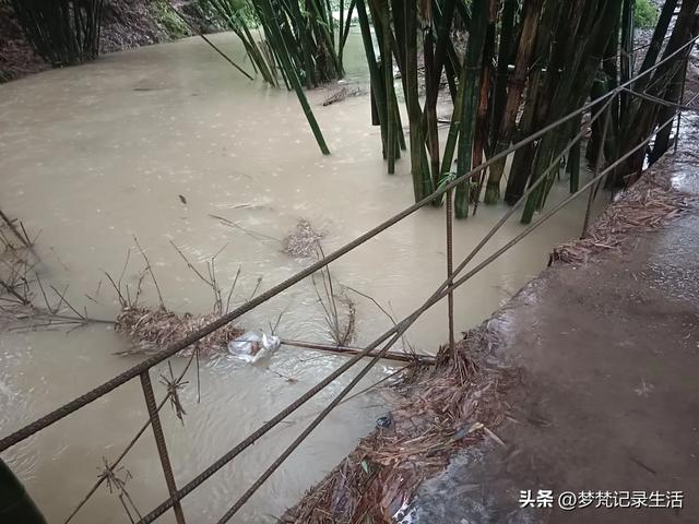 70多岁的老娘像个拼命三郎，一个人在雨天漫步拥抱大自然感觉不错