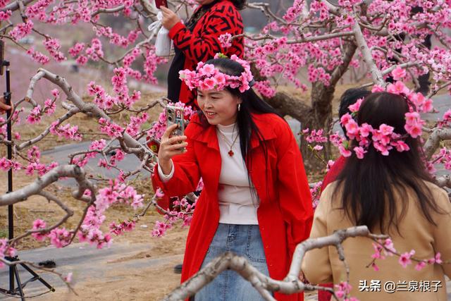 醉美桃花源启幕 秦安共赴春日盛宴