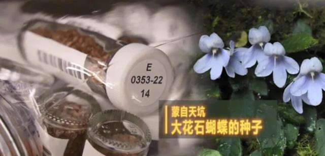 中国“诺亚方舟”首次曝光！亚洲最大生命库震撼世界