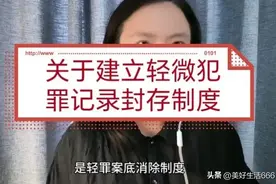 轻微犯罪封存制度什么时候实施？图片