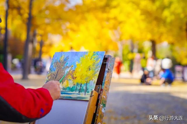 落叶缓扫～24处叶景打卡地延长“营业”时间