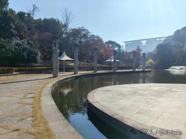 温州这个闹市中的公园,冬天亦有一番好风光!