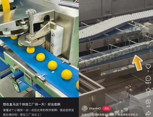 “穷鬼迪士尼”，统治中产周末？